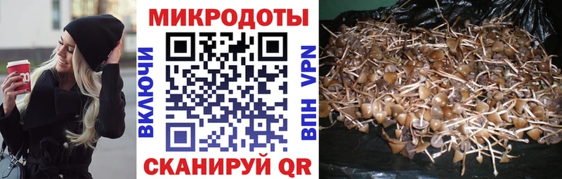 Псилоцибиновые грибы Cubensis  Шахты 