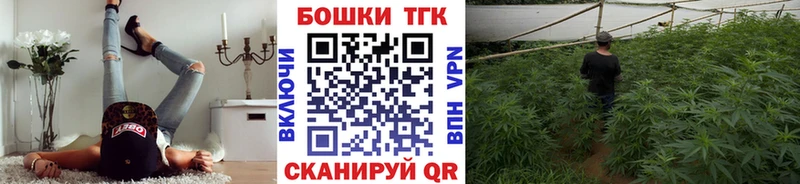 где купить наркоту  Шахты  Канабис ГИДРОПОН 